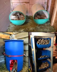 three pictures show the different stages of growing potatoes in their storage bins, and how to use them