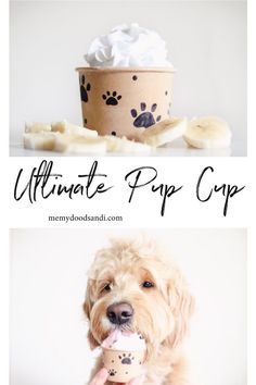 a dog holding a cup in it's mouth with the words ultimate puppy cup