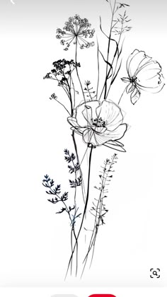 an image of flowers in black and white on a cell phone with the text, i love