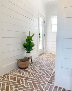 a potted plant sitting on the floor in front of a white wall and door