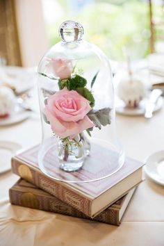 a pink rose in a glass dome on top of a book