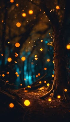 fireflies flying in the night sky above a forest with trees and lights on it