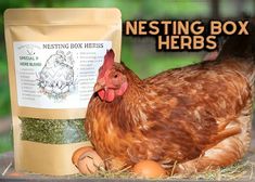 a chicken laying next to a bag of nesting box herbs