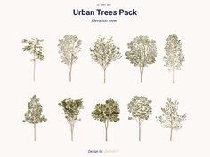 an image of trees that are drawn in different styles and sizes, with the text urban trees pack below