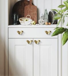 a white cabinet with brass butterflies on the door knobs, and a potted plant next to it