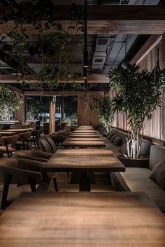 a restaurant with wooden tables and plants hanging from the ceiling, along with couches