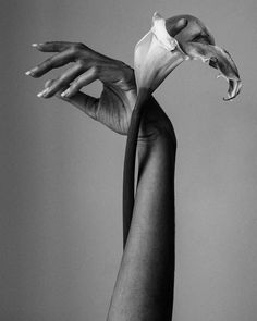 a black and white photo of a person's hand reaching up to a flower