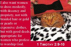 a cat with a red hat and bow tie on it's head sitting in a leopard print blanket