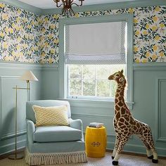 a giraffe standing next to a window in a living room with blue walls