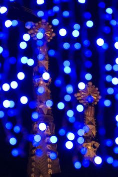 blue and white lights in the dark with two palm trees next to them on display