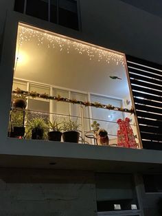 an open window with potted plants and lights in the windowsill at night time