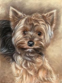 a painting of a small dog with long hair