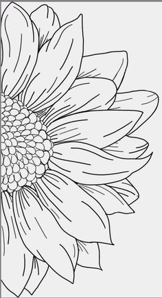 a sunflower is shown in this black and white photo, with the outlines on it