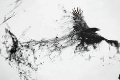 a black and white photo of a bird flying in the air with it's wings spread