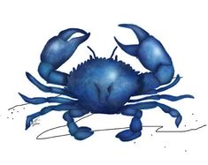 a blue crab on a white background with watercolors in it's claws