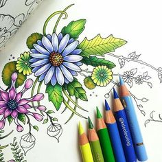 some colored pencils are sitting on top of a coloring book with flowers and leaves