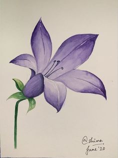 a drawing of a purple flower with green leaves