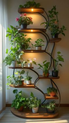 a shelf filled with potted plants on top of a wooden floor next to a window