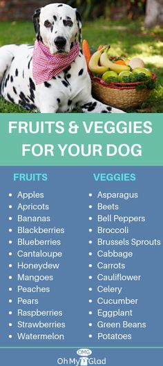 a dalmatian dog sitting in the grass with fruits and veggies for your dog