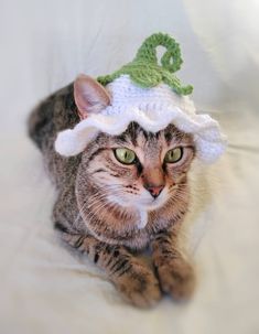 a cat is wearing a crocheted hat with a fish on it's head