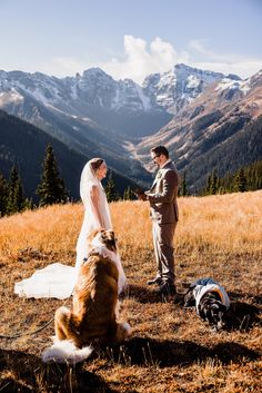 a bride and groom standing in the mountains with their dog