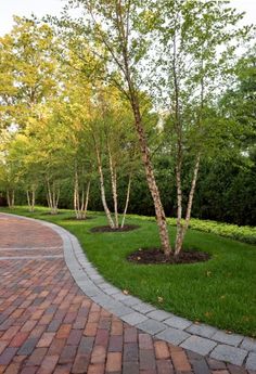 a brick walkway with trees and grass on both sides, leading to a park area