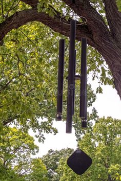 an old wind chime hanging from a tree in the park royalty images and stock photos