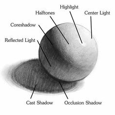 an image of the structure of a ball