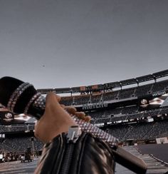 a person holding a baseball bat in front of an empty stadium