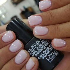 Pink Tip French Manicure Almond, Pink And White French Tip, Timeless Nails, No Chip Nails, Nail Polish Gel, Sns Nails, Nails Now