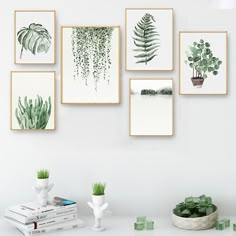 a white table topped with pictures and plants