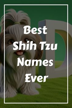 a dog with the words best shih tzu names ever written in front of it