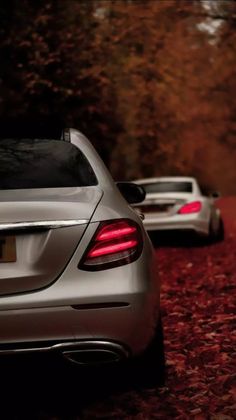 two silver cars parked on the side of a road in front of trees and leaves