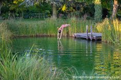 a person jumping into the water from a dock