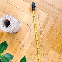 a measuring tape, spools of thread and scissors on the floor next to a plant