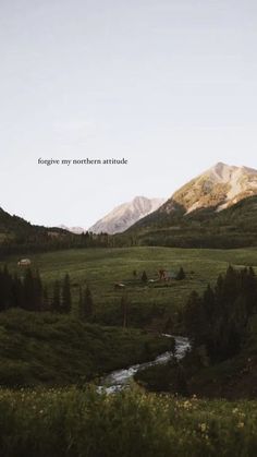 there is a small stream in the middle of this field with mountains in the background