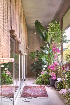 a room filled with lots of plants and flowers next to a window covered in blinds