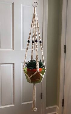 a potted plant hanging from a door