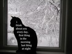 a black cat sitting on top of a window sill in front of snow covered trees