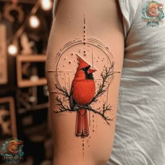 a red bird sitting on top of a branch next to a white circle with stars