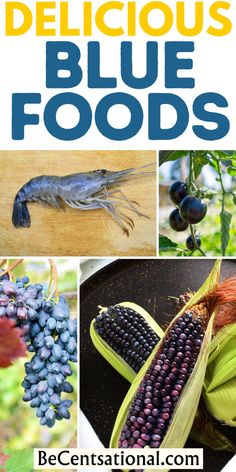 Pictures of natural blue foods such as grapes, blueberries, shrimp and blue corn. Veg Photography, Bean Bread, Blue Foods, Bread Banana, Different Types Of Food, Fun Fall Activities, Blue Fruits, Color Party, Blue Food