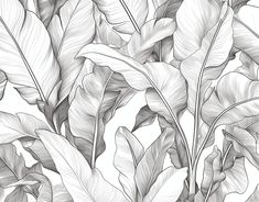 a black and white drawing of leaves