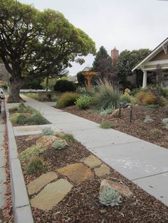 a sidewalk that is next to a tree and some plants in front of a house