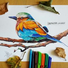 a colorful bird sitting on top of a tree branch next to colored crayons