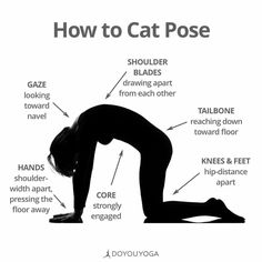 a woman doing yoga poses with the words how to cat pose