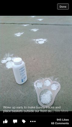 a bottle and paw prints on the ground