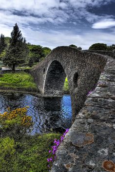 an old stone bridge over a river with purple flowers in the foreground and green grass on either side