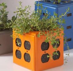 three planters with plants growing out of them on a table next to each other