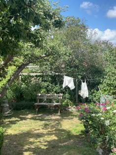 clothes hanging out to dry in the garden