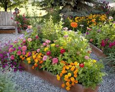 a garden filled with lots of colorful flowers next to a wooden bench on gravel ground